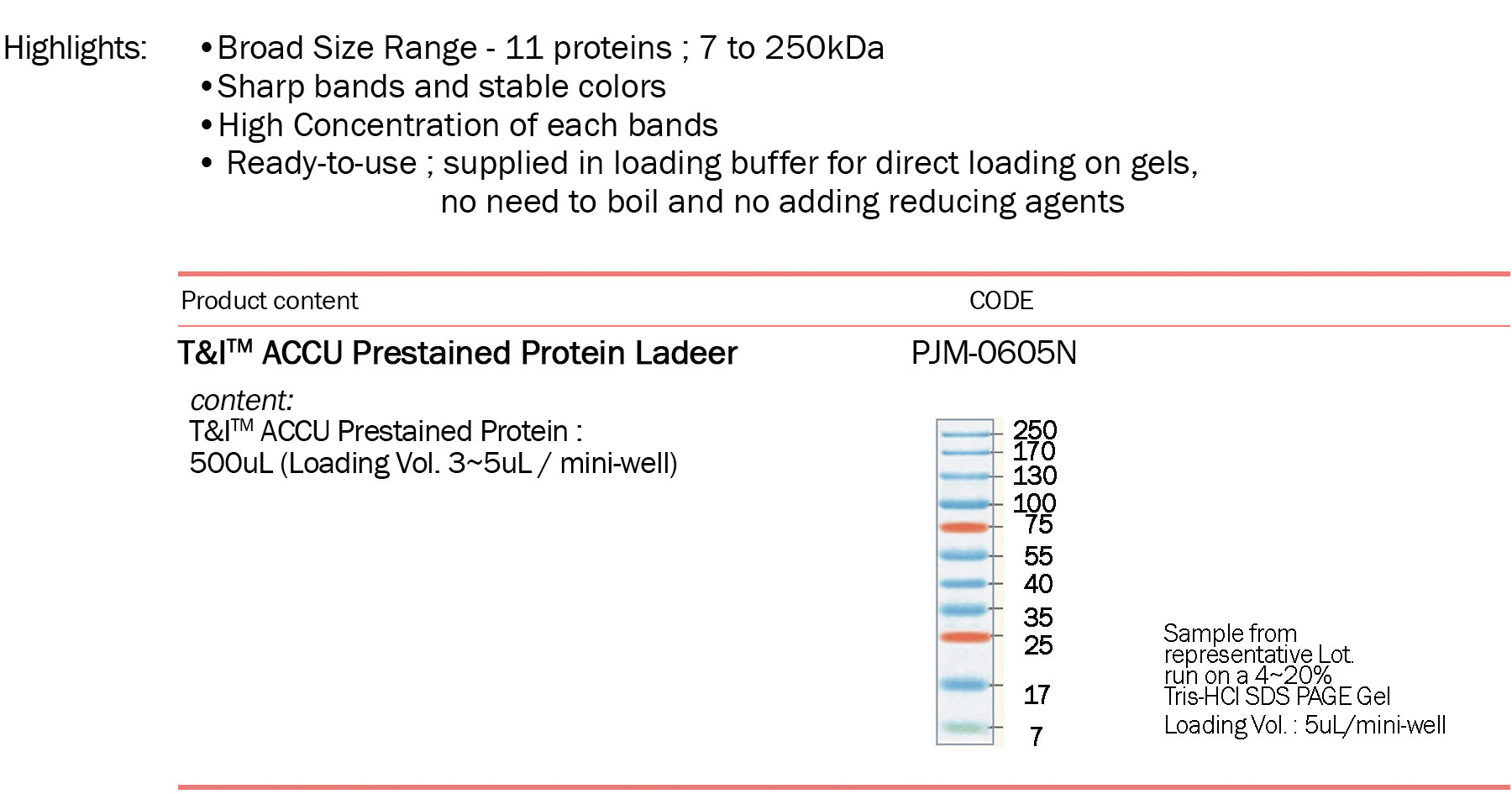 Bioprince T I Accu Prestained Protein Marker